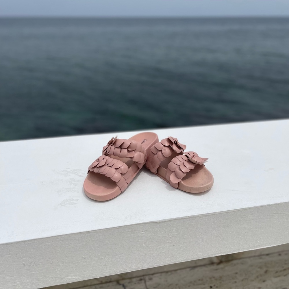 Blush flower slides.